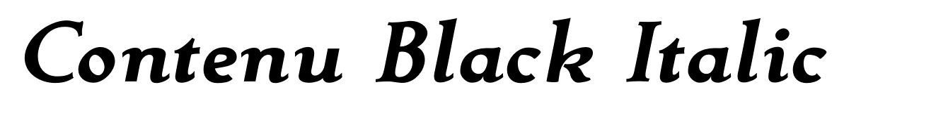 Contenu Black Italic